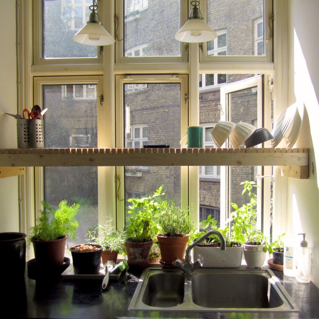 Kitchen Herb-Drying Racks : drying racks