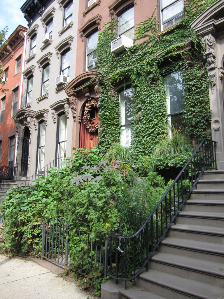 An explosion of plants and green space on Carlton St. in Fort Greene, Brooklyn