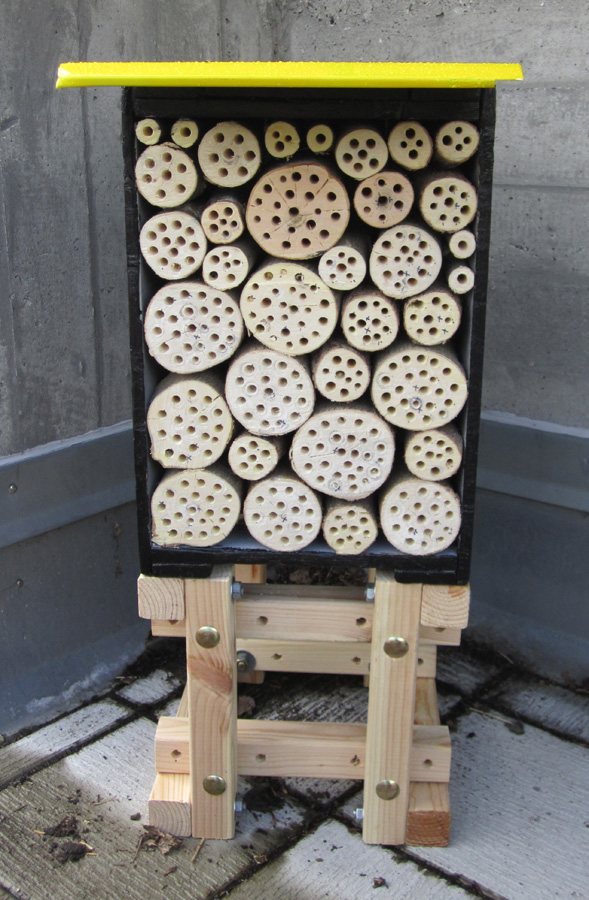 Solitary Bee Habitat