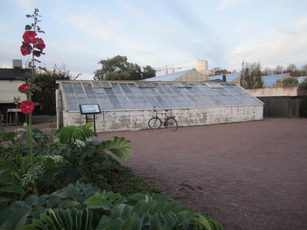 Greenhouse Artist Talks Malmö, Sweden