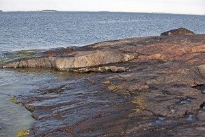 Learning carefully from the sea, its vast silences & ancient stories ...